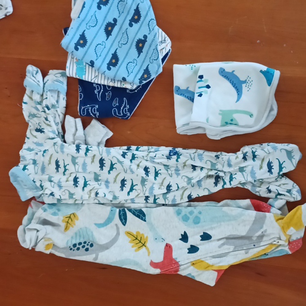 Boys 0-3 Dino bundle